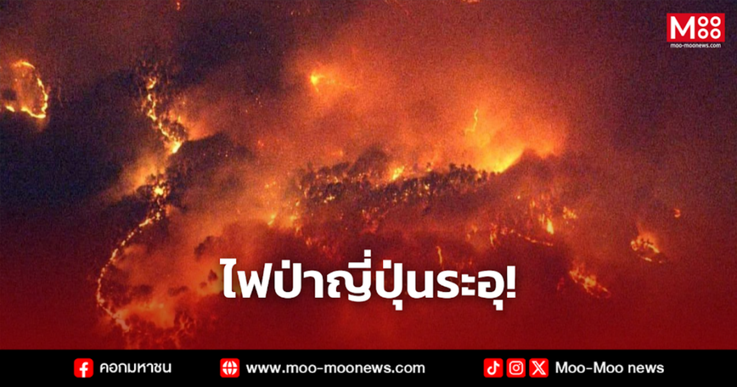 ไฟป่าญี่ปุ่นระอุ